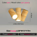Axyaa LED Ceiling Lamp Modern Indoor Lighting for Corridor Staircase Porch Kitchen Dining