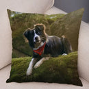 Scottish Border Collie Pillowcase - Axyaa Dog Print Decor Cushion Cover
