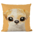 Axyaa Cute Animal Big Eyes Dog Funny Cat Throw Pillow Cover Home Decor Cotton Linen