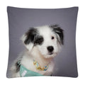 Axyaa Cute Dog Photo Polyester Cushion Cover for Home Sofa Car