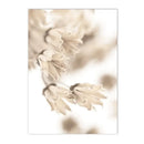 Peony Rose Dandelion Botanical Flower Canvas Art Print - Axyaa Nordic Wall Poster Art