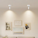 Axyaa Metal LED Ceiling Wall Lamp for Art Exhibition Decor