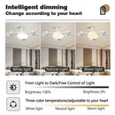 Axyaa Drone-Shaped Ceiling Fan Light with Remote Control and LED Dimming