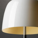 Axyaa Colorful Glass Floor Lamp for Living Room Bedroom Study Lighting