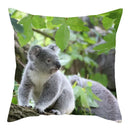 Axyaa Koala Panda Polyester Pillow Cover 45x45cm