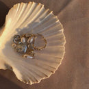 Axya Seashell Storage Plate, Stylish Home Decor & Photo Props, 7-8cm
