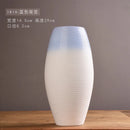 Axyaa Modern Ceramic Vases for Creative Handicrafts and Living Room Decor