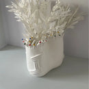 Axyaa Coral Shapes Ceramic Flower Vase Home Decoration Accessories