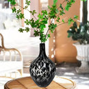 Axyaa Large-Bellied & Small-Mouthed Vase: Glass Home Decoration for Stylish Vase Placement