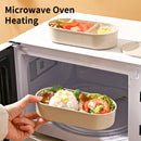 Axyaa Double Layer Microwave Lunch Box with Dividers - Portable Bento Box