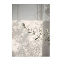 Axyaa Olive Tree Architecture Canvas Print Wall Art Posters for Living Room