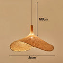 Axyaa Modern Pendant Lights Indoor Lighting Ceiling Chandeliers LED for Dining Room
