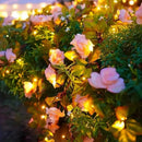 Champagne Rose Vine Fairy Lights by Axyaa - Indoor Outdoor Holiday Wedding Decor