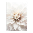 White Rose Dahlia Romantic Flower Palm Leaf Wall Art Canvas Painting Bedroom Decor Axyaa