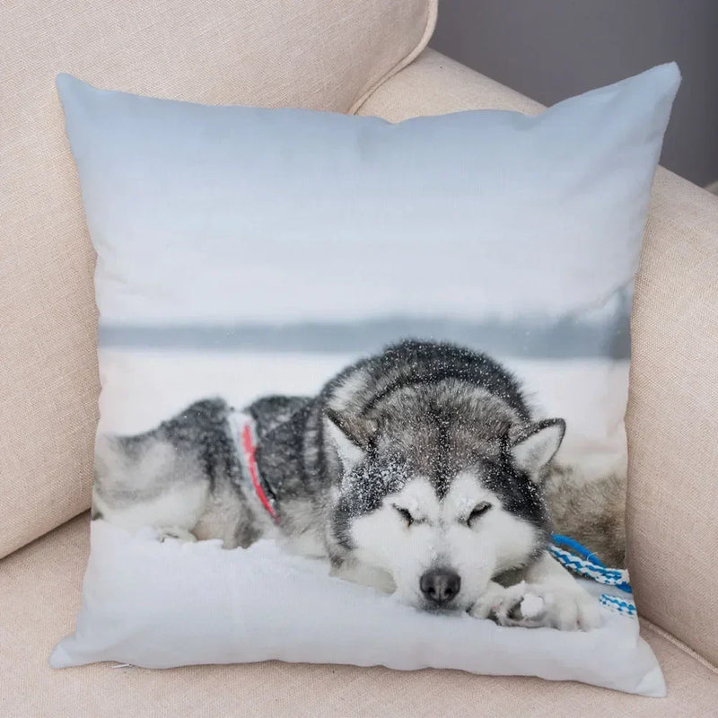 Axyaa Siberian Husky Pet Sofa Cushion Cover - Cute Dog Print Pillowcase Decor