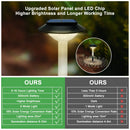 Axyaa Solar Pathway Lights: Bright RGB Color Outdoor Landscape Lighting