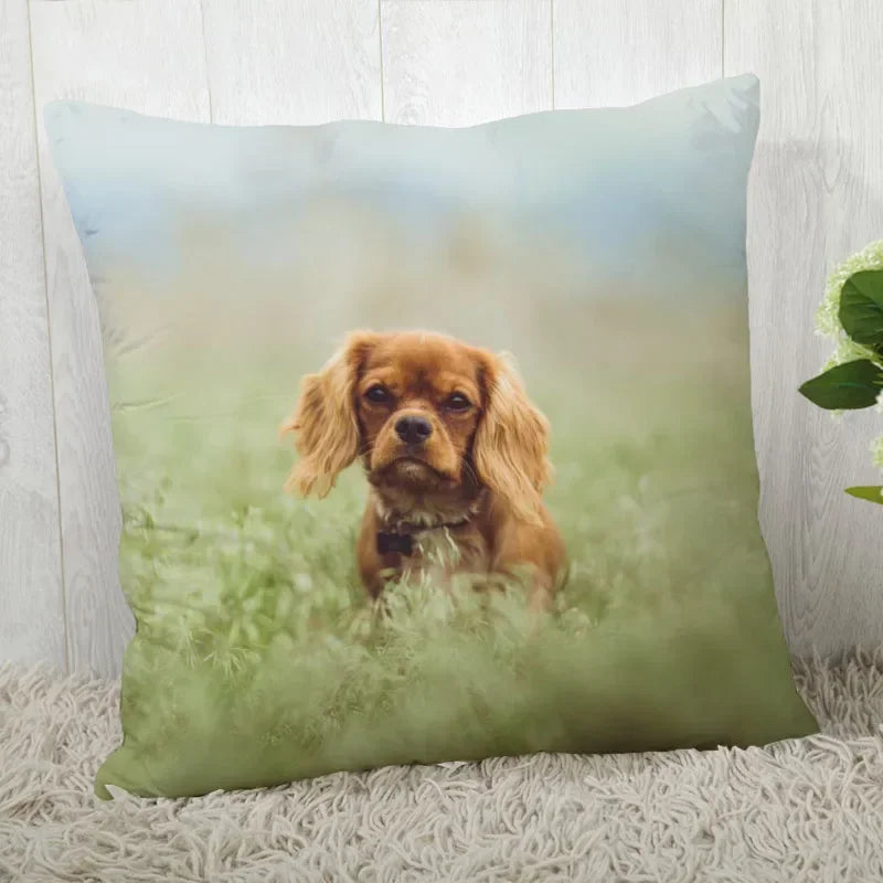Axyaa Cocker Spaniel Sofa Cushion Cover - Creative and Simple Home Decor