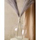 Axyaa Tall Glass Vase for Pampas Grass, Modern Floor Decor for Living Room