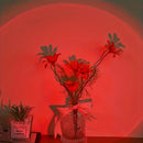 Axyaa LED Sunset Lamp for Atmosphere Nightlight in Living Room and Bedroom