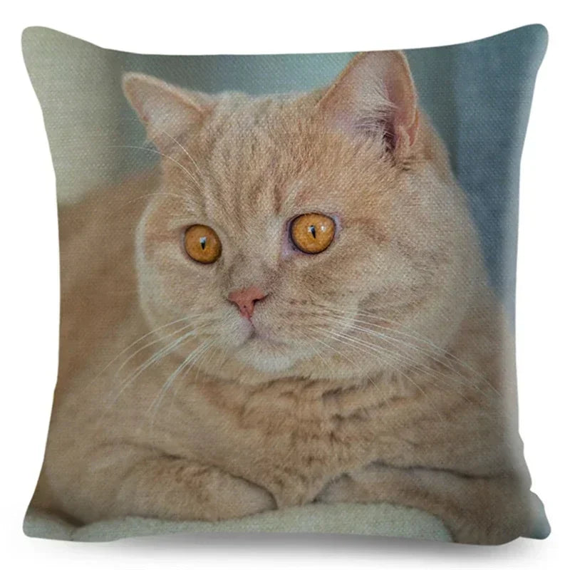 Axyaa Fold Ear Cat Pillow Covers - Set of 2 Cute Pet Pillowcases
