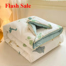 Axyaa Class A Cotton Soybean Quilt | Thickened Winter & Spring Quilt
