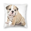 Axyaa Cute English Bulldog Floor Pillowcase for Home Decor