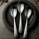 Axyaa Stainless Steel Long Handle Oval Pointed Spoon Set