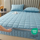 Axyaa Quilted Mattress Pad Cover Zipper All Inclusive Soft Protector