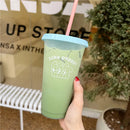 Axyaa Cute Korean Bubble Tea Cup with Lid and Straw, BPA-Free Plastic Reusable Bottle