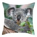 Axyaa Koala Panda Polyester Pillow Cover 45x45cm