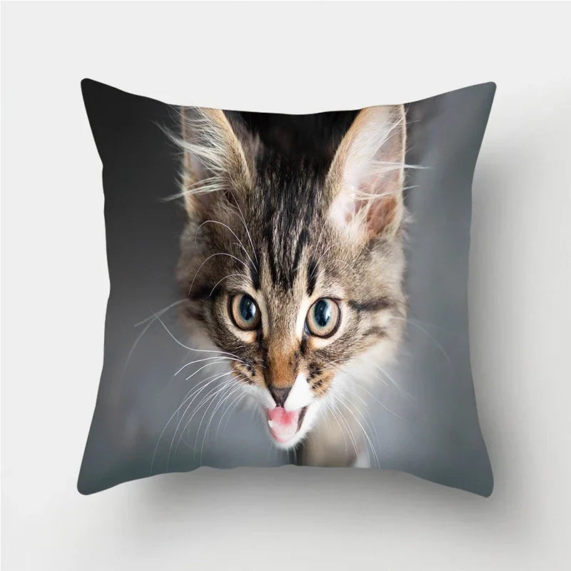 Cute Cat Print Cushion Cover for Sofa Decor by Axyaa