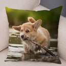 Corgi Pembroke Dog Pattern Pillowcase by Axyaa - Decorative Print for Home Shopping
