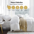 Axyaa Organic Cotton Queen Comforter, Feather Down, All Season, Queen Size