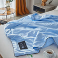Axyaa Luxury Silk Quilt Queen Comforter Ultra-Soft Spring/Summer Satin Quilted High-End