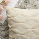 Axyaa Plush Pillow Cover 45x45cm Cozy Cushion for Home Living Room Sofa