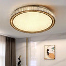 Axyaa Modern Crystal Ceiling Chandelier Dimmable Lighting Fixture