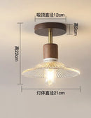 Axyaa LED Glass Ceiling Light Chandelier for Home Living Room Bedroom