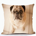 French Bulldog & Pug Dog Pillowcase by Axyaa - Decorative Animal Polyester Cushion Cover
