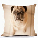 French Bulldog & Pug Dog Pillowcase by Axyaa - Decorative Animal Polyester Cushion Cover