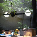Axyaa LED Chandelier Plant Suspension Pendant Light - Black Kitchen Bar Dinning Room