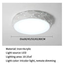 Axyaa LED Ceiling Light: Remote Dimmable Modern Chandelier for Bedroom, Living Room & Hallway
