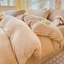 Axyaa Milk Velvet Winter Queen Duvet Cover Set, Soft & Cozy Coral Fleece Quilt