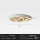 Axyaa LED Ceiling Lamp for Bedroom Living Room Bathroom Balcony