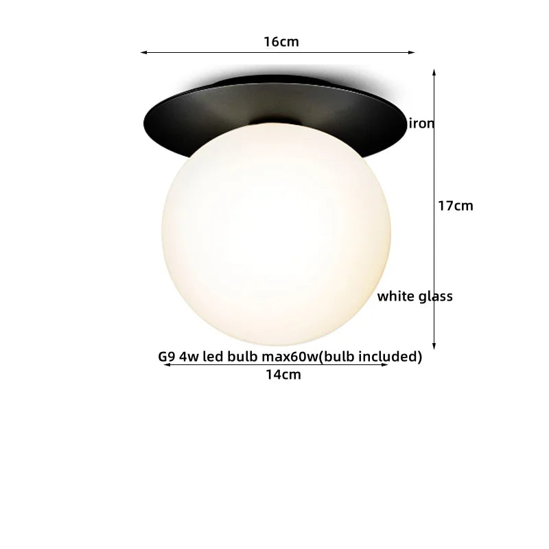 Axyaa Modern Iron Glass LED Ceiling Lamp for Home Lighting