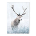 Axyaa Winter Lake Forest Owl Deer Snow Canvas Wall Art Print for Modern Home Decor