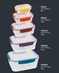 Axyaa Sealed Storage Box Set for Freshness Preservation and Portability