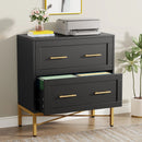 Axyaa 2 Drawer Lateral File Cabinet for Letter/Legal/A4 Size, Modern File Storage