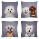 Axyaa Cute Dog Photo Polyester Cushion Cover for Home Sofa Car