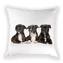 Cute Dog Cat Pillow Cover 45X45CM for Home Decor - Axyaa Brand