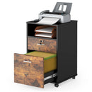 Axyaa Wood File Cabinet with Lock, 2 Drawers, Storage Shelf, Printer Stand & Wheels
